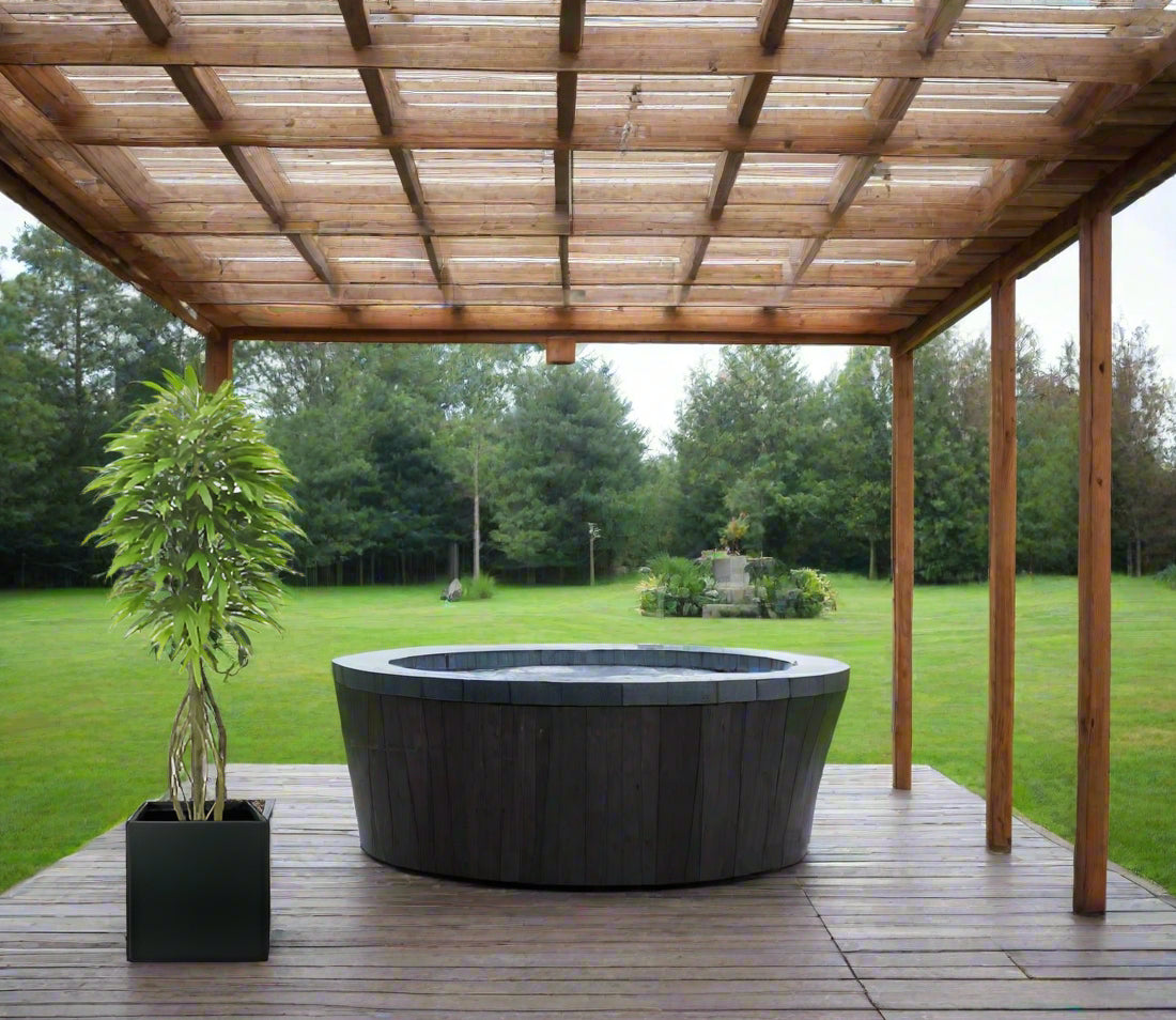 Potted 7ft Mango Tree in black Fiberclay Planter - UV Protected