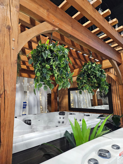 Pothos Hanging Basket UV Protected