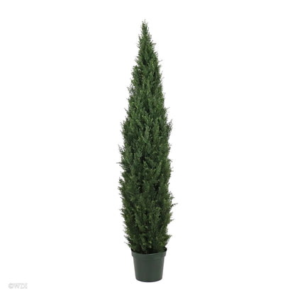 Milano Cedar, 6ft (UV)