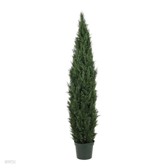 Milano Cedar, 6ft (UV)